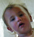 Photo of  Gregory Hibbs