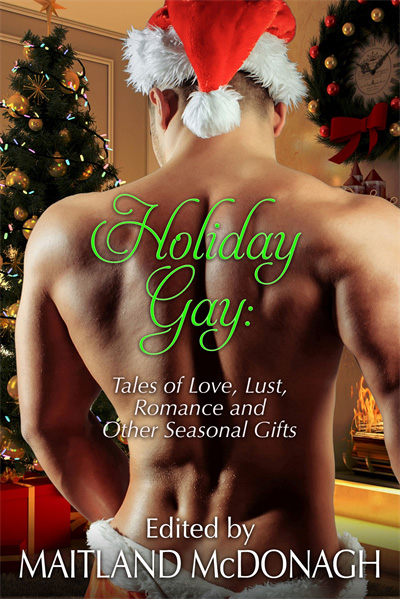 Holiday Gay: Tales of Love, Lust, Romance and Other Seasonal Gifts