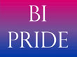 Bi Pride