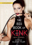 Big Book of Kink