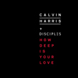 Calvin Harris + Disciples - How Deep Is Your Love