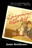 Win Dangerous When Wet by Jamie Brickhouse!