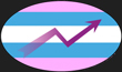 Institute for Transgender Economic Advancement (ITEA)