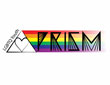 Prism LGBT Youth Group