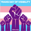 Transgender Day of Visibility on March 31