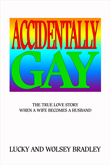 Accidentally Gay e-book