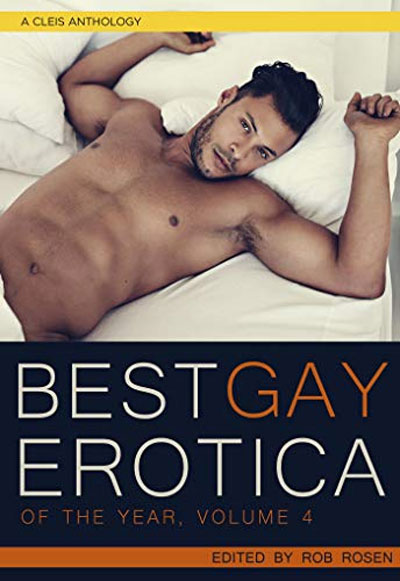 Best Gay Erotica of the Year
