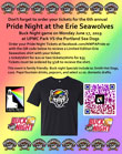 Pride Night 2019 with Erie Seawolves June 17