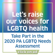 2020 PA LGBTQ+ Needs Assessment