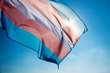 Trans flag in the breeze