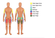 US medical archive adds SF transgender clinic website