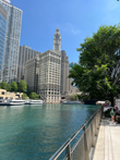Hot Fun in the Chicago Sun