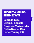 Lambda Legal Judicial Report: Progress Made under Biden Now at Risk under Trump 2.0