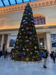 Windy City Winter Break: Art Institute, Great Architecture, Fun Neighborhoods, and Great Food
