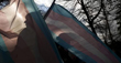 Trans flags with people in shadows