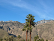 Your Affordable Palm Springs Getaway